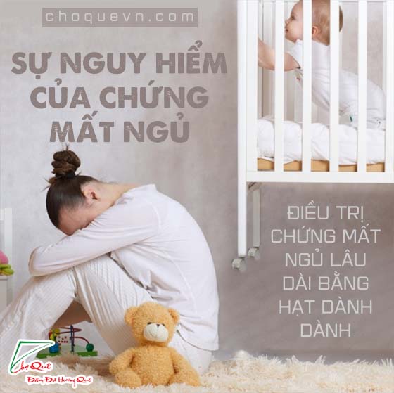 cách chữa mất ngủ bằng quả dành dành